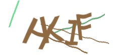 Identifying code