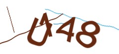 Identifying code