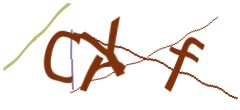 Identifying code