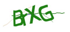 Identifying code