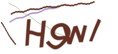 Identifying code