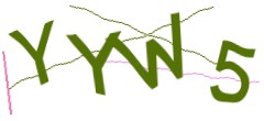 Identifying code