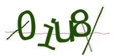 Identifying code