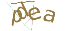 Identifying code