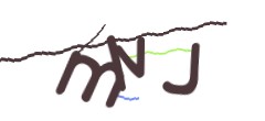 Identifying code