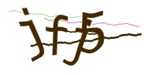 Identifying code