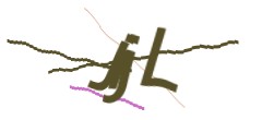 Identifying code