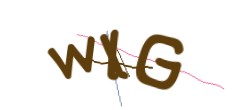 Identifying code