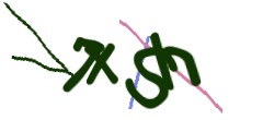 Identifying code