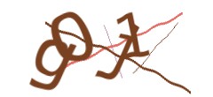 Identifying code
