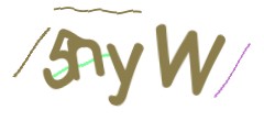 Identifying code