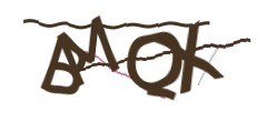 Identifying code