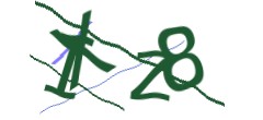 Identifying code