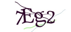 Identifying code