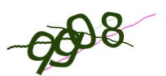 Identifying code