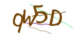 Identifying code