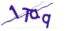 Identifying code