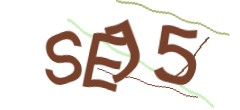 Identifying code