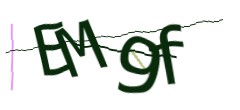 Identifying code