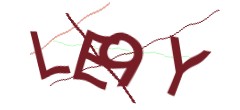 Identifying code