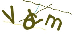 Identifying code