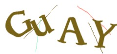 Identifying code