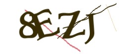 Identifying code