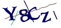 Identifying code