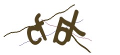 Identifying code