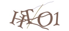 Identifying code
