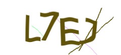 Identifying code