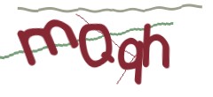 Identifying code