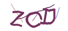 Identifying code
