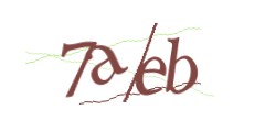 Identifying code