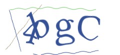 Identifying code