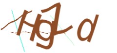 Identifying code