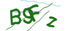 Identifying code