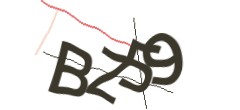 Identifying code