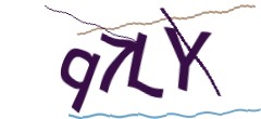 Identifying code