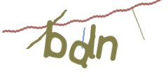 Identifying code