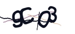 Identifying code