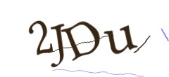 Identifying code