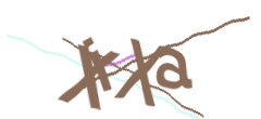 Identifying code