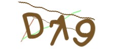 Identifying code