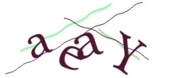 Identifying code