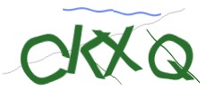 Identifying code