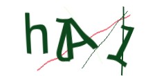 Identifying code