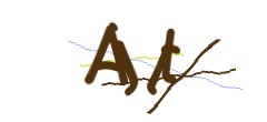 Identifying code