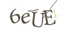 Identifying code