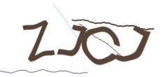 Identifying code